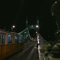 Nazeela Elmi的照片