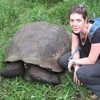 Фотографии пользователя Catherine Mongeon