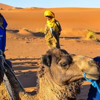 Brenda Lavagna's Photo