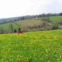 Serinde van Wijk的照片