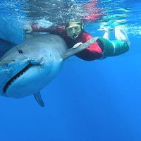 Samantha Sherman的照片