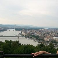 Laia Machado's Photo