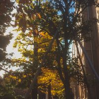 Zdjęcia użytkownika Steve Hershey