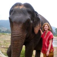 Fotos de Dieneke Schol