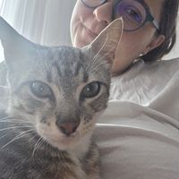 Blagica Smilkova's Photo