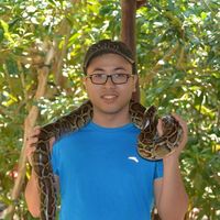 phuong nguyen's Photo