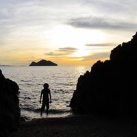 Eduardo da Silva's Photo