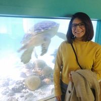 Alyssa Fernandez的照片