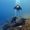 Alan Castro's Photo
