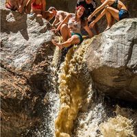 Justina Cortea的照片