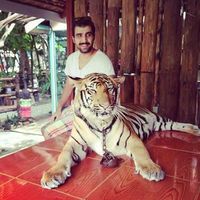 Cem Mutluay的照片