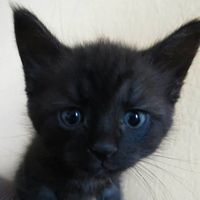 Anna Sudlitz的照片