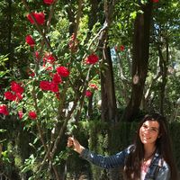 Photos de Joanna Boyan