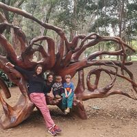 Photos de Fábio Bertassi