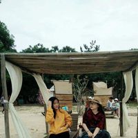 Võ Thái Hạ Khánh的照片