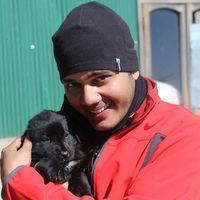 Himanshu Paliwal的照片