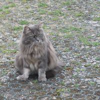 Yvonne Horsewoman's Photo