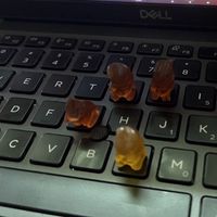 Mountainbiker's Photo