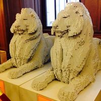 Violeta López's Photo