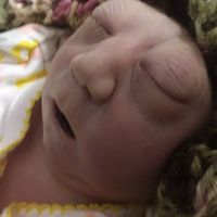 Ashley Fields的照片