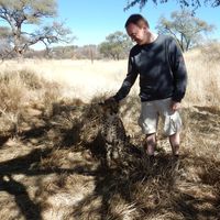 Markus Stangl's Photo