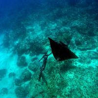 Fotos von Josh Pirie