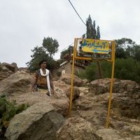 Hamed Reza Karimi Malayer's Photo