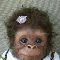 Tsetan Yangzom's Photo