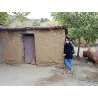 Diman Mohamadi的照片