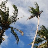 Photos de Winston Schmidt