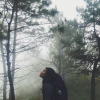 Andrew Salut的照片