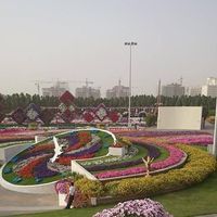 Gold Man Oman's Photo