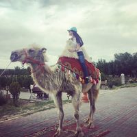 Fatma Aydın's Photo