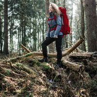 Luca Linhsen的照片