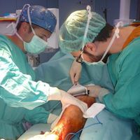 Carlos fernandez的照片