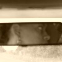 solene Detanger的照片