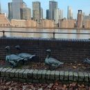 *New Year Walk* 💫's picture