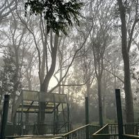 Damini Tiwari's Photo