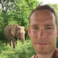 Marco Althaus的照片