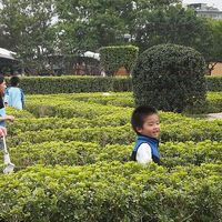 Mei Hsun-wei's Photo