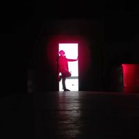 Pepino Trump's Photo