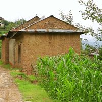 Fotos de Ali Shakibzadeh