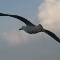 Elife Kılıç的照片