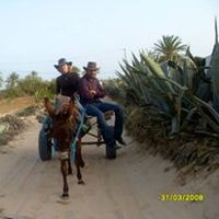 Helena Klingspohn's Photo