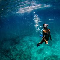 Photos de Rowan Zwicky