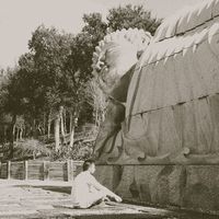 David Martinez's Photo