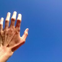 Fotos de Bozhidar Baltov