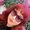 Monserrat Sant's Photo