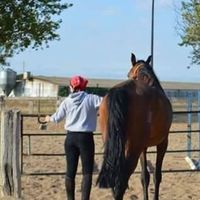 Rita Villanueva Ojosnegros的照片