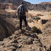 Hossam El-Damanhoury's Photo